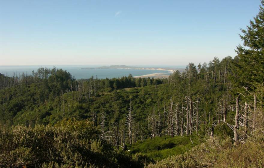 Drake's Bay at Point Reyes National Seashore