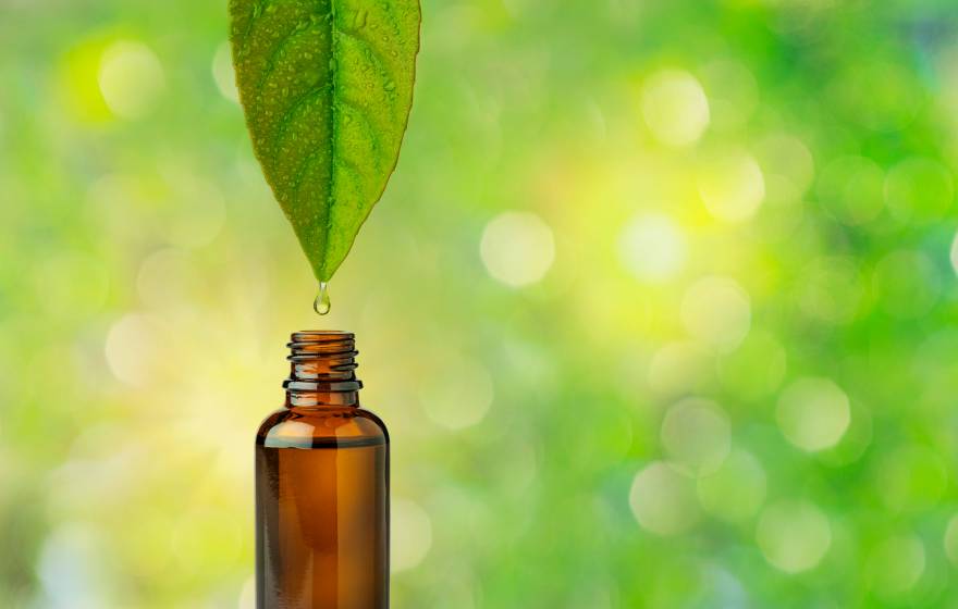 A leaf dripping into a small bottle on a green, nature background