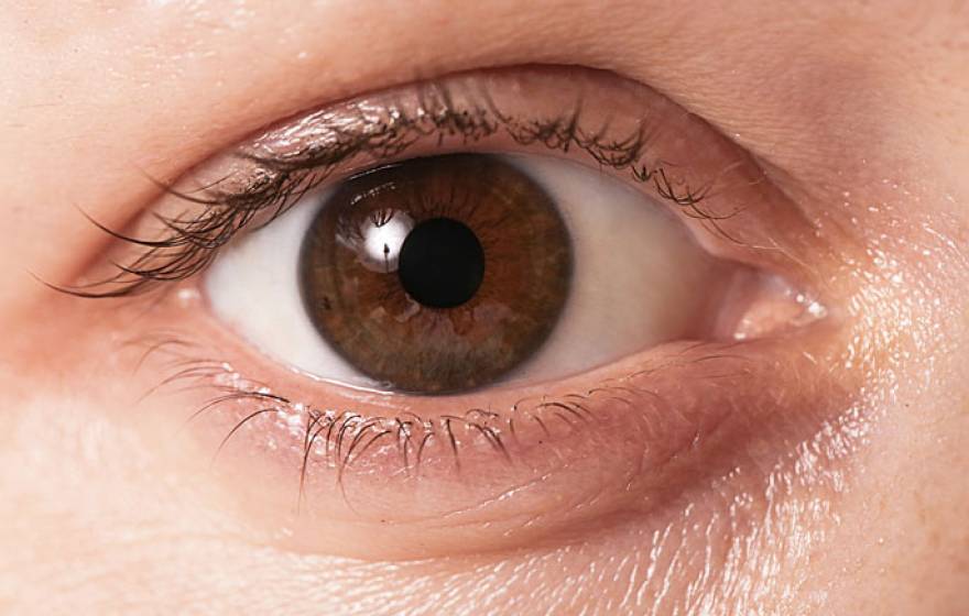 Human eye lens
