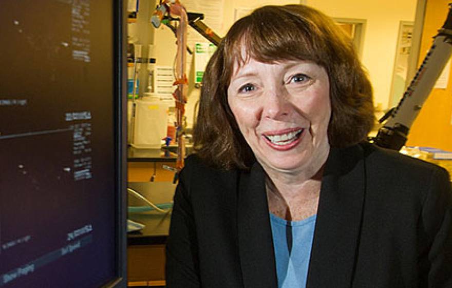 Katherine Whittaker Ferrara, distinguished professor of biomedical engineering