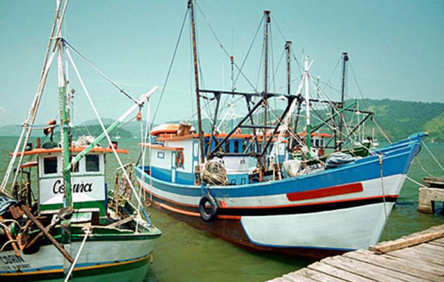 Fisheries need to improve sustainable practices before doing business on global seafood market.