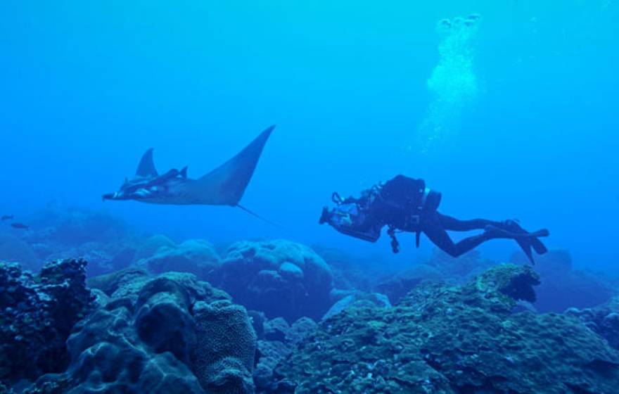 Flower Garden Banks National Marine Sanctuary