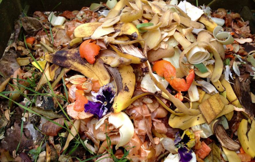 UC Sacramento food waste