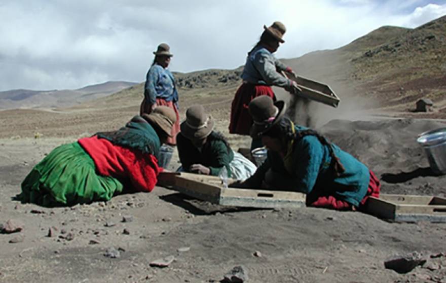 A group of communeros, or villagers, from Jachacachi, Peru, help excavate the site where evidence of potato domestication was found. 