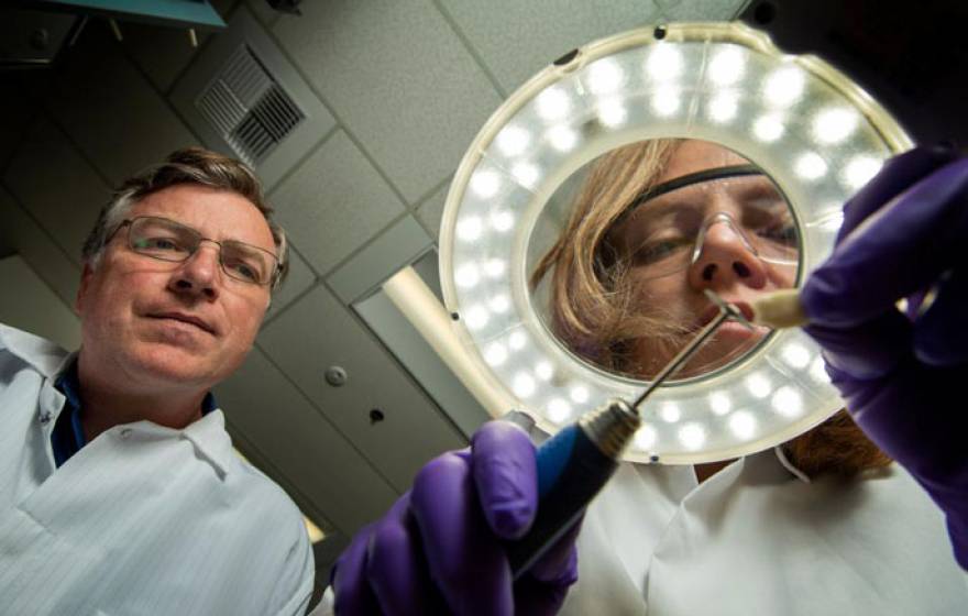 Two scientists in lab coats looking at a tooth sample