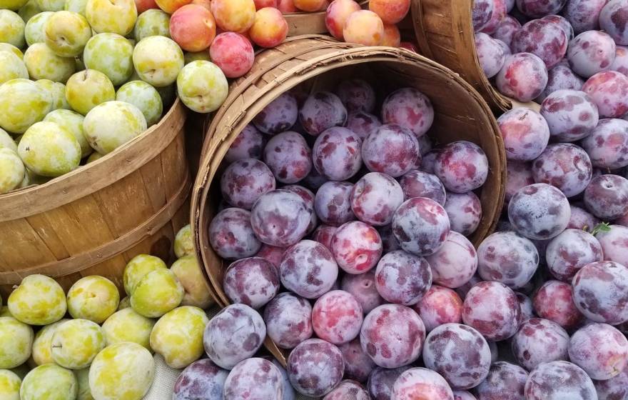 Fruit at a farmer's market