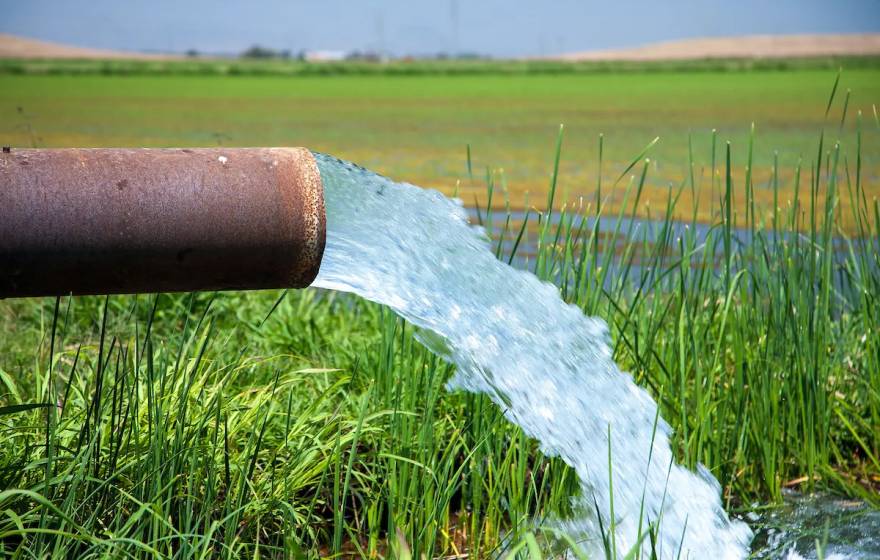 Water pouring out of a large pipe into a verdant wetland