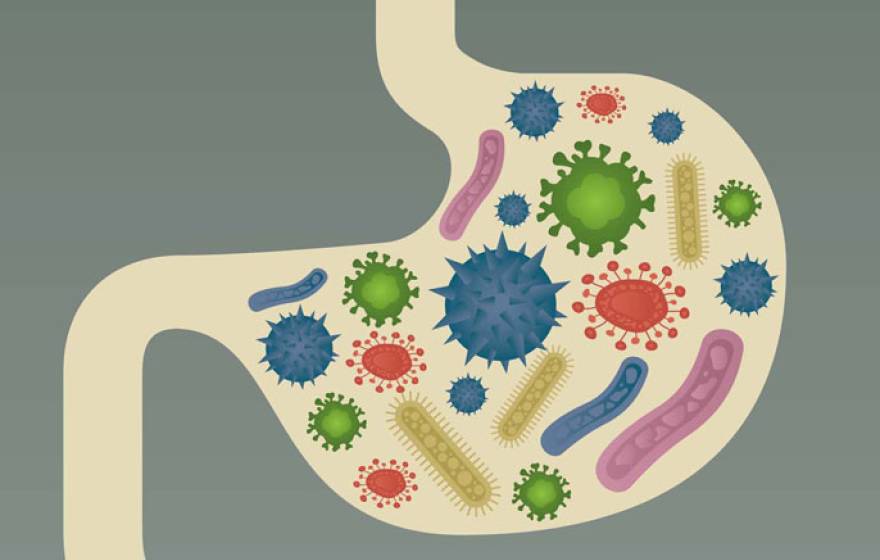 UC Irvine bacteria