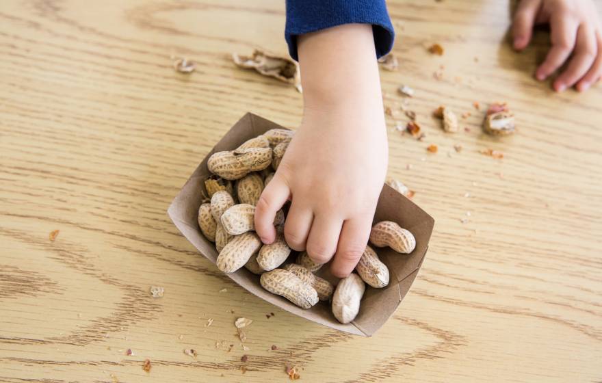 A child's hand reaching for peanuts