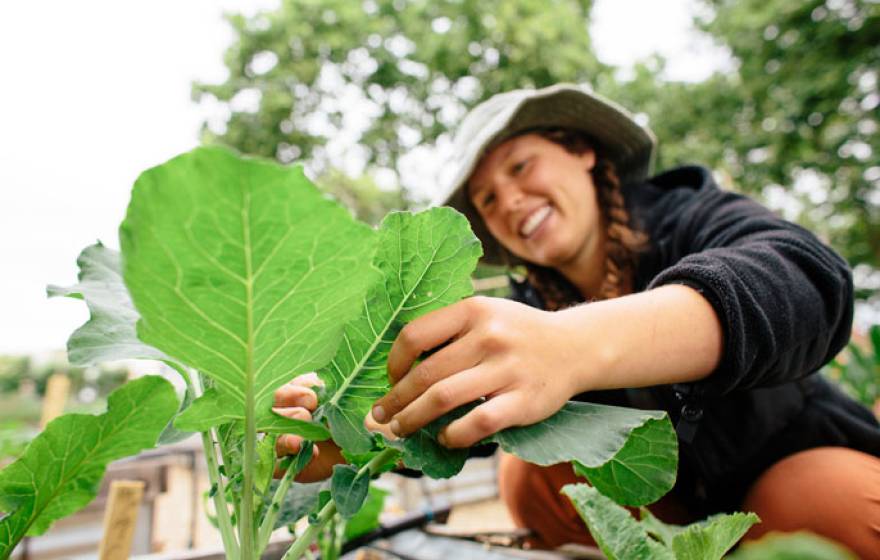 Young woman gardening