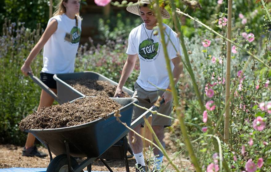 Irvine students in community garden