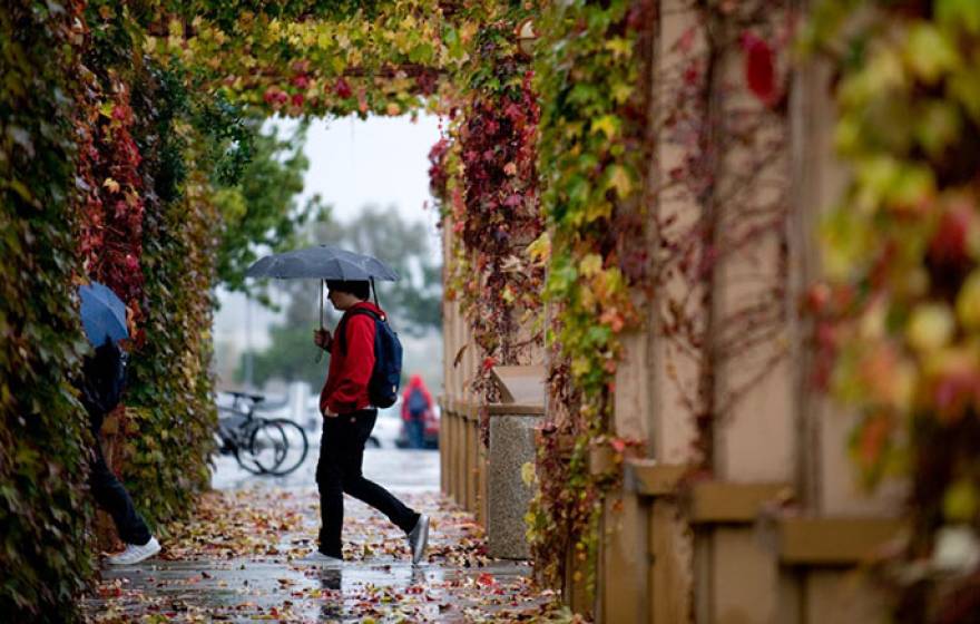 students walking in rain