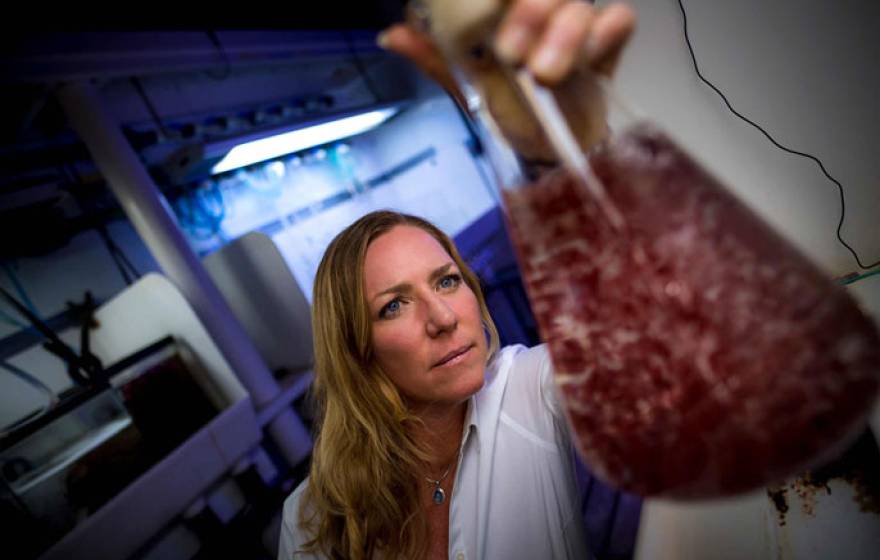 Jennifer Smith holding up a flask of seaweed