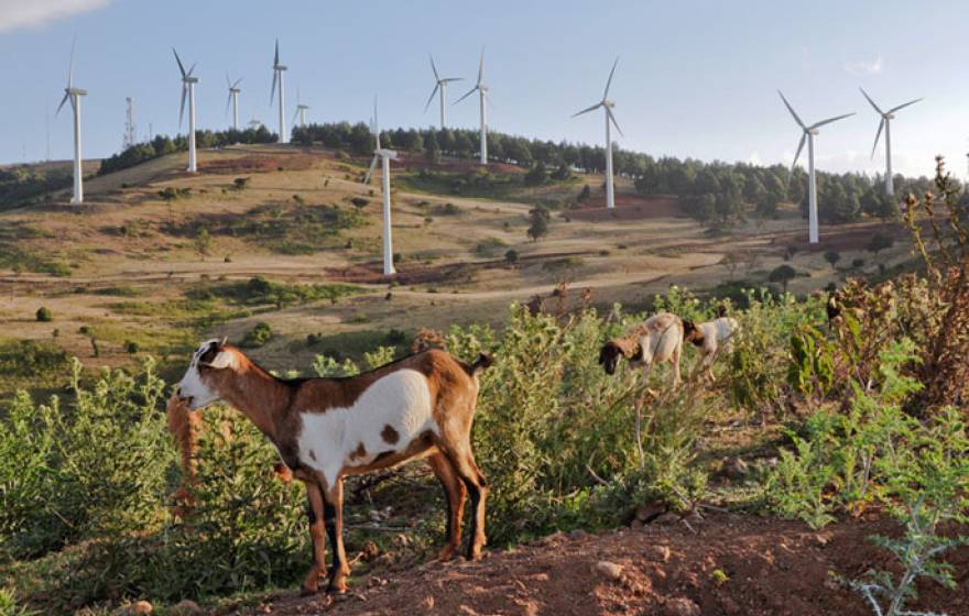 Kenya wind UC Berkeley