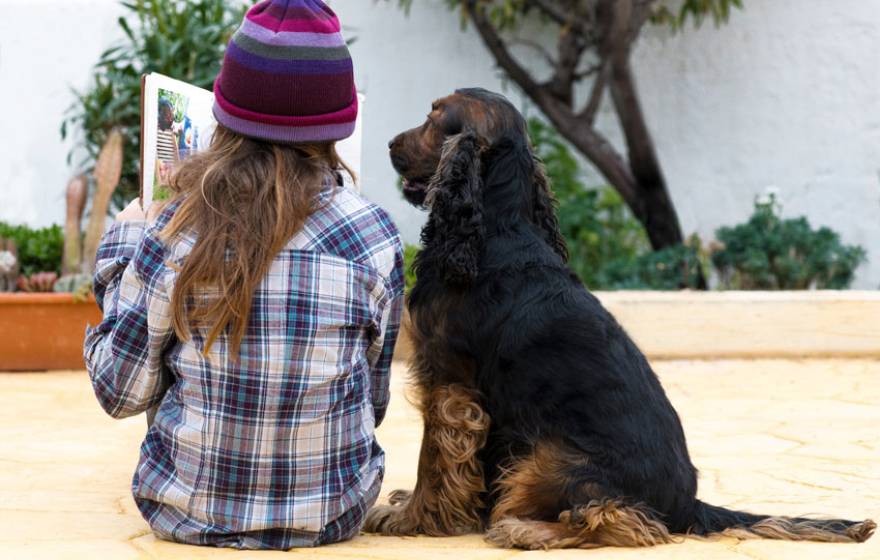 Child reading to a dog