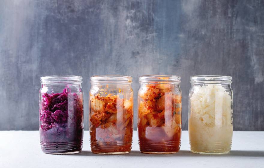 Variety of fermented food Korean traditional kimchi cabbage and radish salad, white and red sauerkraut in glass jars in row over grey blue table