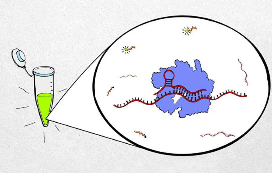 Diagnostic test and sample illustration