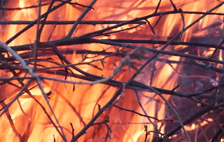 A bush burning during a cultural burn