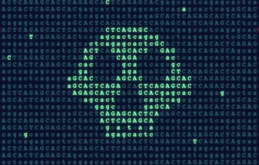 A pre-human skull made of genetic code