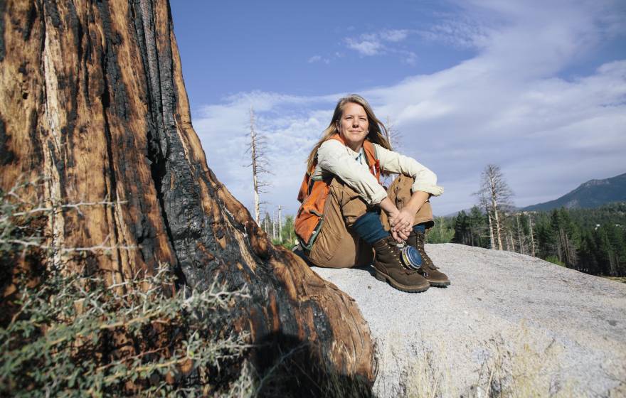 Susie Kocher sits on a rock next to a tree bearing burns in the Angora burn area (burned in 2007) in South Lake Tahoe
