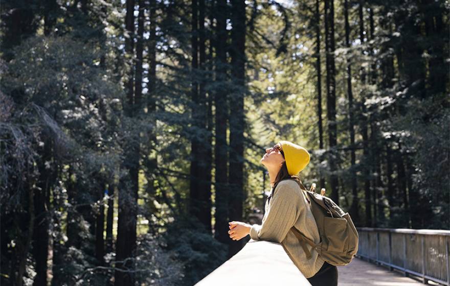 Young woman in yellow hat and sunglasses stands at a railing in a forest, looking up