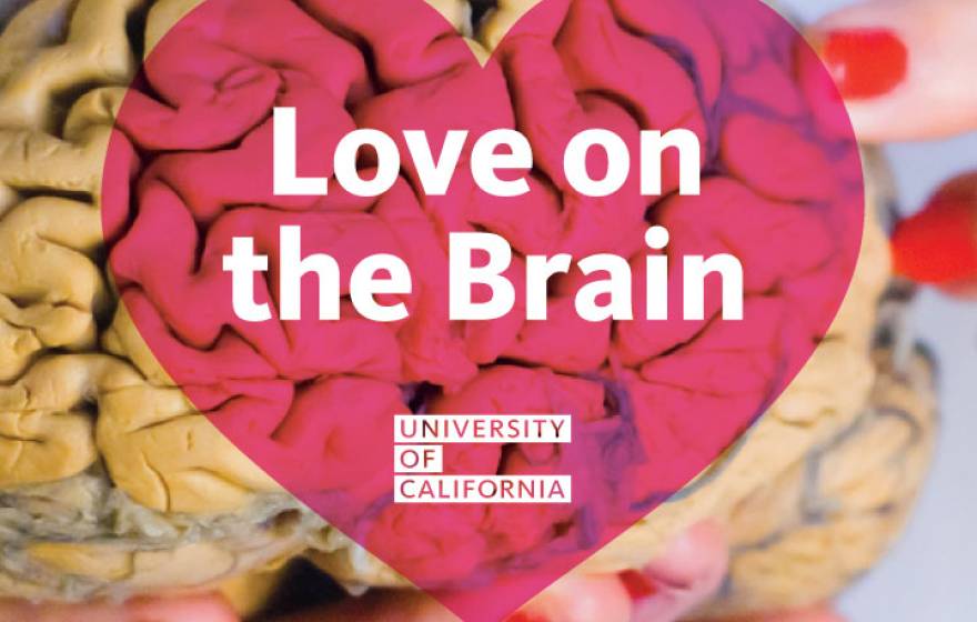 UC love on the brain