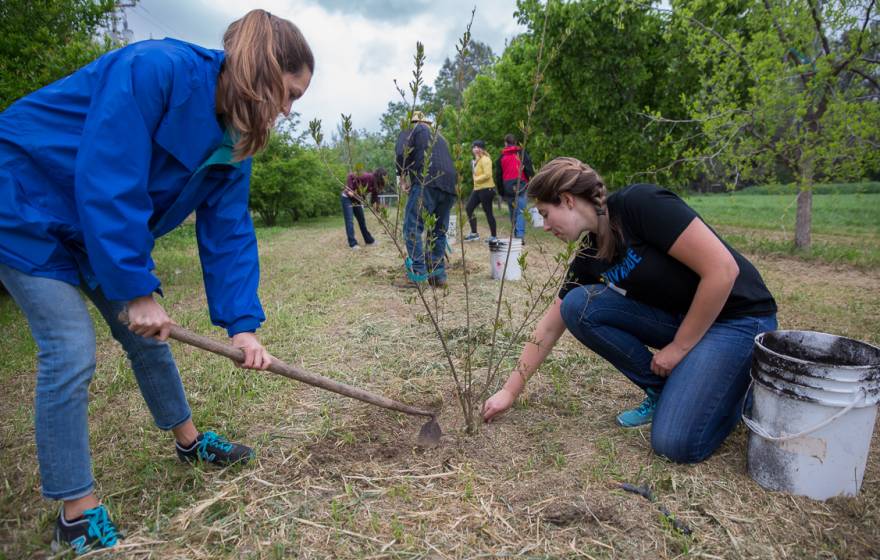 This year's class of UC Global Food Initiative student fellows includes returning fellows (left) Hannah Malan of UCLA and Holly Mayton of UC Riverside, who participated last spring in a GFI fellows' field trip to Full Belly Farm in the Capay Valley.