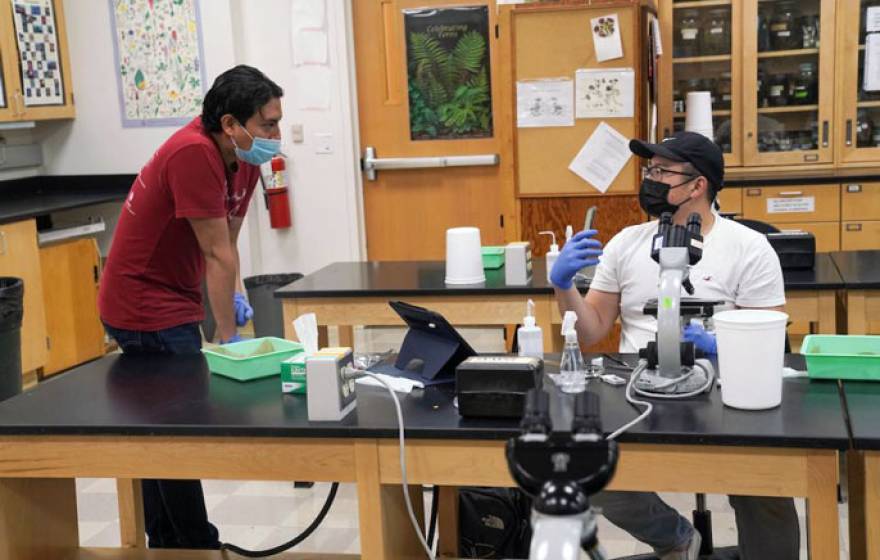 UC Davis students, masked, communicating in a lab