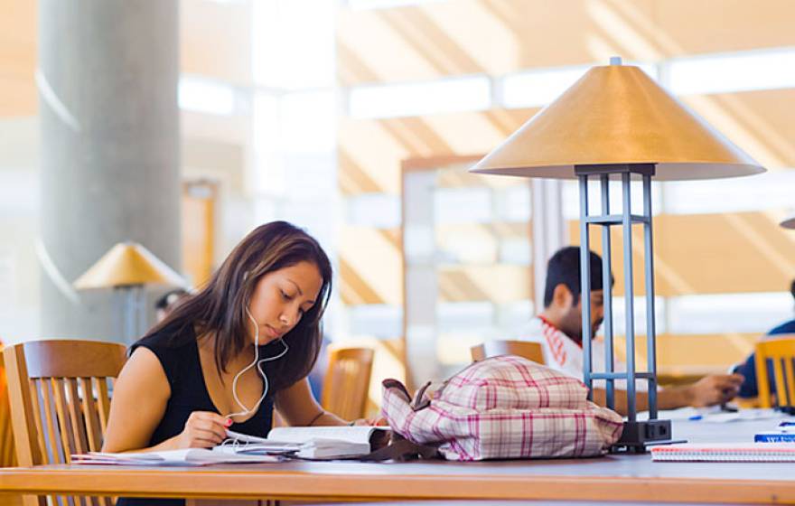 student studying in library