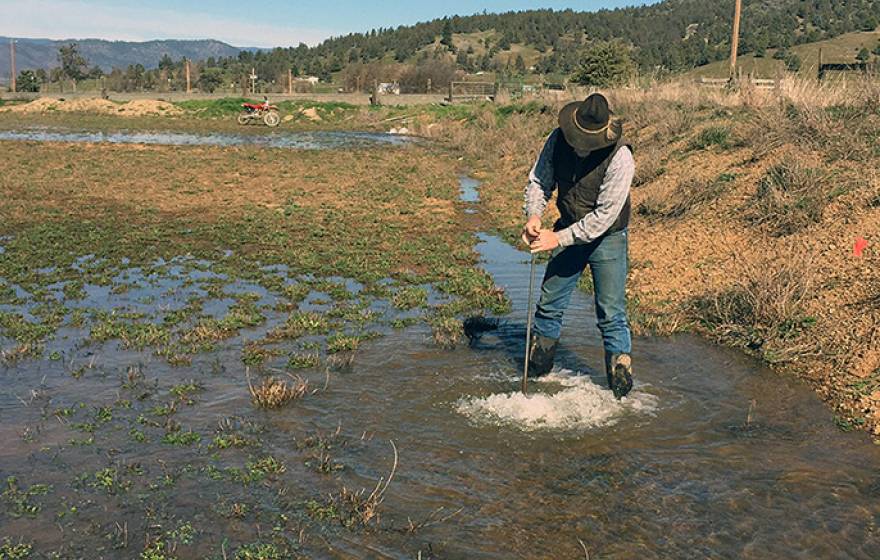 Bryan-Morris Ranch manager Jim Morris stands in a flooded alfalfa field along the Scott River in Siskiyou County.