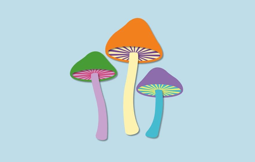 An illustration of three colorful mushrooms