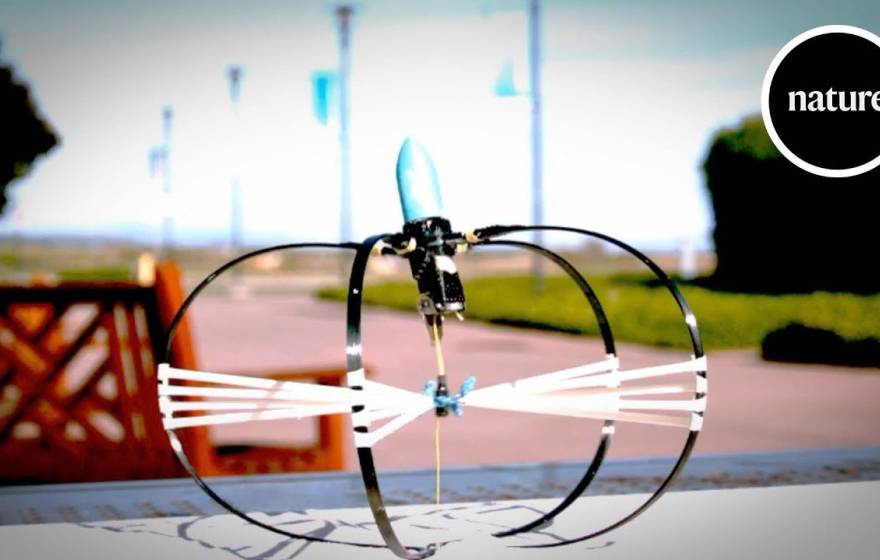 Jumping robot still from Nature video