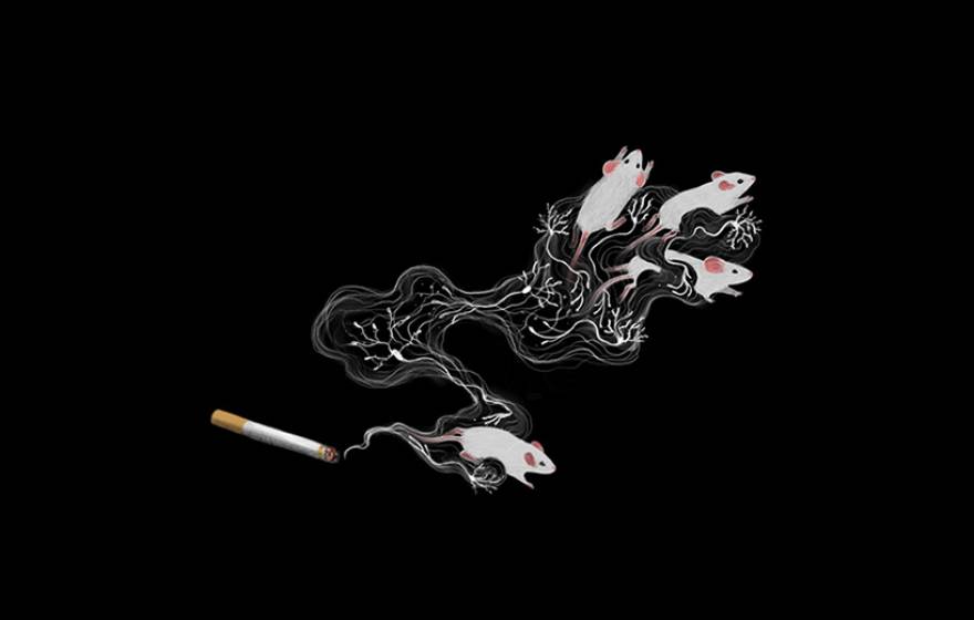 Drawing of mice moving away from a lit cigarette, wrapped in smoke