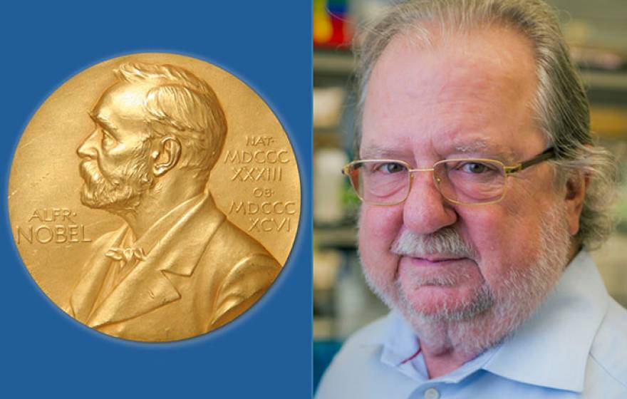 Nobel Prize with James Allison photo next to it