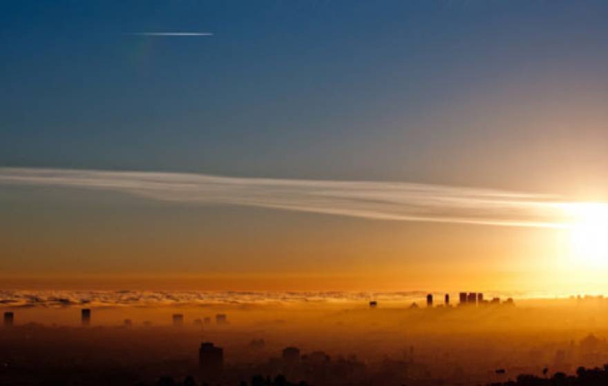 UC Davis ozone pollution