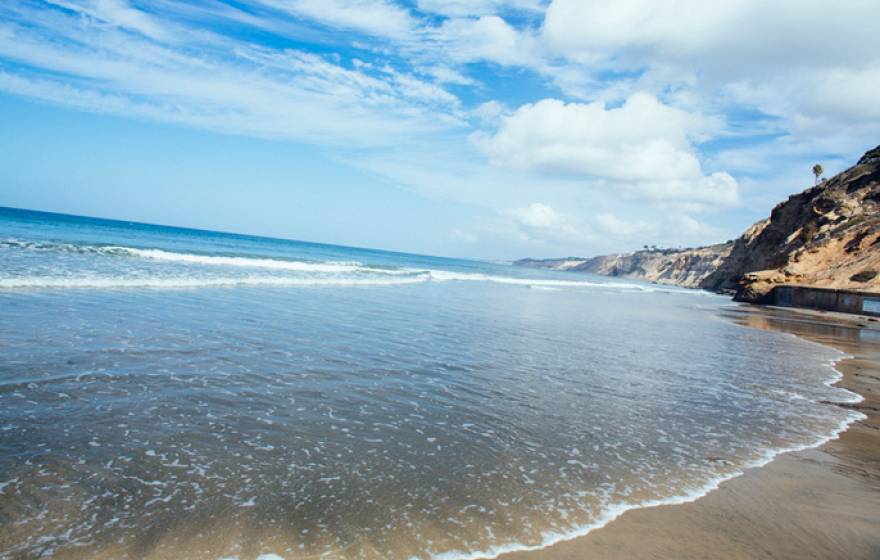 Pacific Ocean at Scripps