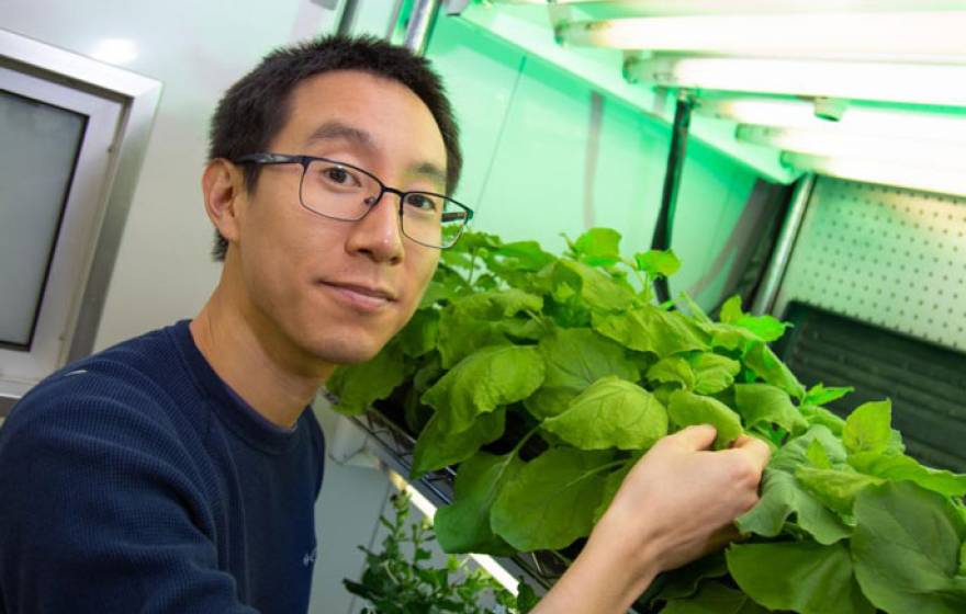 Patrick Shih in front of his plants