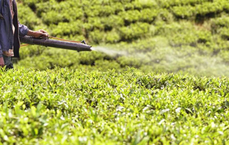 Pesticide sprayed on a field