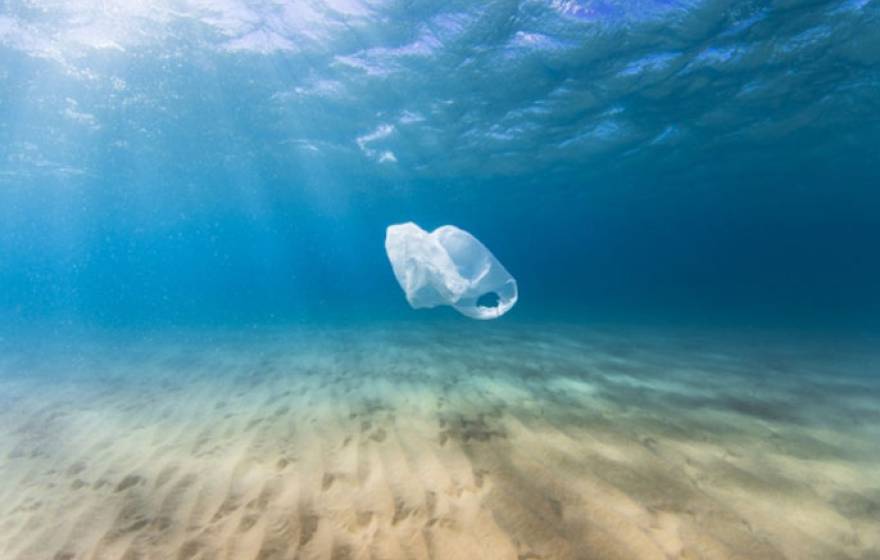 Plastic blag floating in water