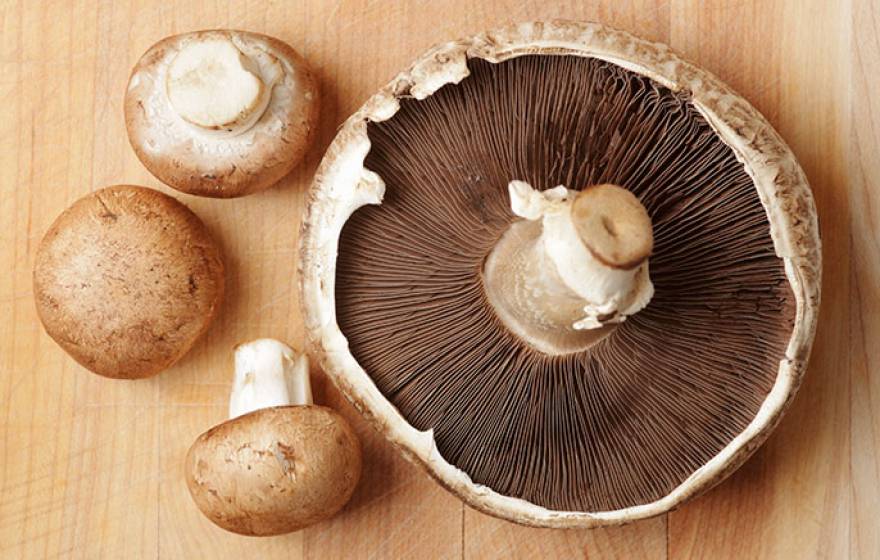 portobello mushrooms
