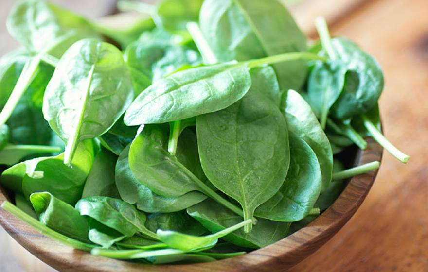 bowl of spinach