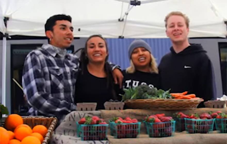Sustainable Agriculture Education Association