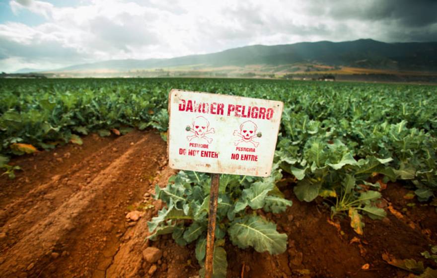 Salinas Valley pesticide
