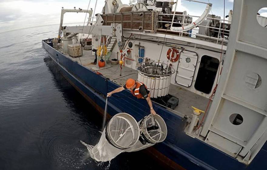 NOAA Fisheries researcher on Scripps boat