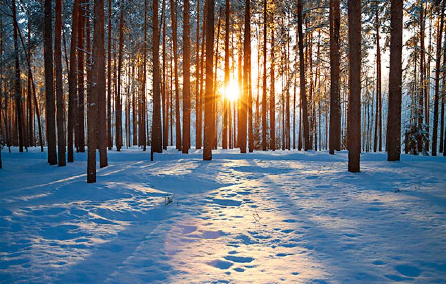 winter landscape - sunset