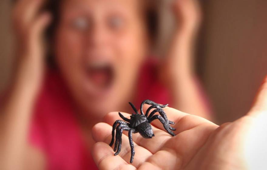 Spider in a hand and a scared woman in the background