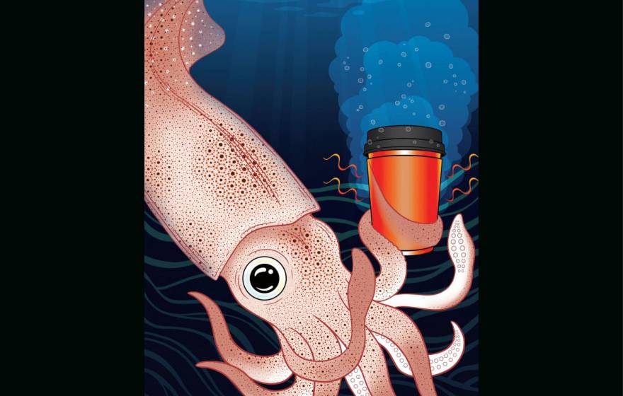 A squid holding a cup of coffee