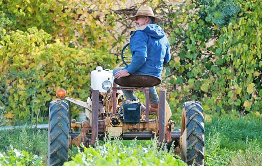 Farmer on tractor