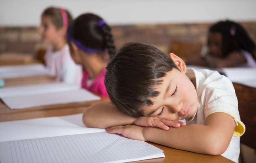 Child napping at desk