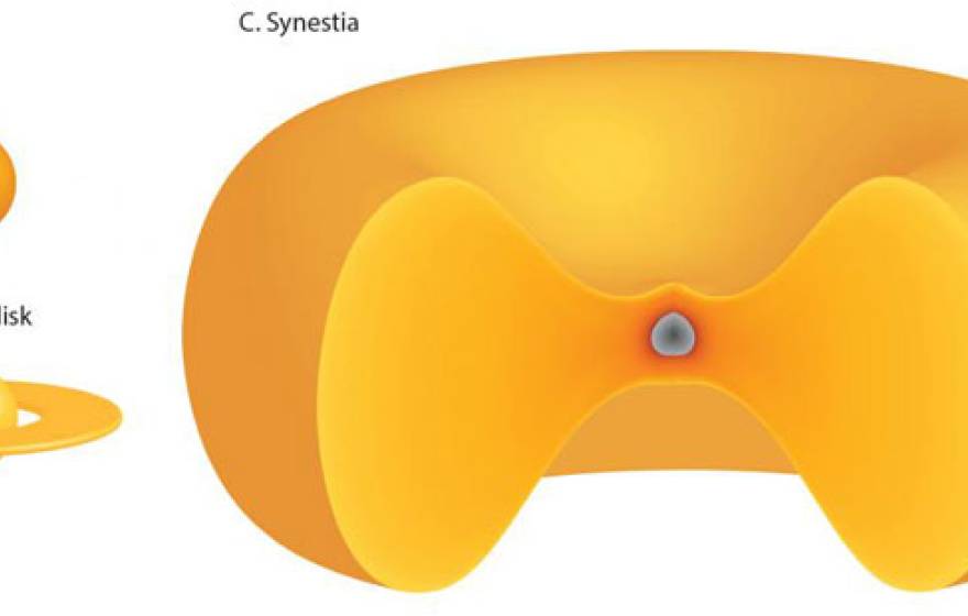 UC Davis Synestia